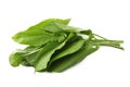 Bunch of fresh green sorrel leaves on white background Royalty Free Stock Photo