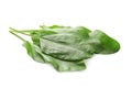 Bunch of fresh green sorrel leaves on white background Royalty Free Stock Photo