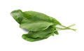 Bunch of fresh green sorrel leaves on white background, above view Royalty Free Stock Photo