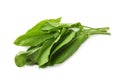 Bunch of fresh green sorrel leaves on white background Royalty Free Stock Photo