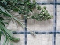 A bunch of fresh greens on a kitchen towel. Bouquet of spicy herbs, composed of rosemary, oregano, lavender.