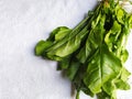 Bunch of fresh spinach on a white background