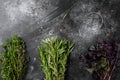 Bunch of fresh herbs rosemary, thyme, basil, on black dark stone table background, top view flat lay, with copy space for text Royalty Free Stock Photo