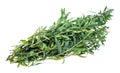 Bunch of fresh hyssop hyssopus grass cutout