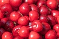 Bunch of fresh, juicy cherries Royalty Free Stock Photo