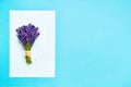 Bunch of fresh lavender on blue background. Violet flowers. Greeting floral card with place for text. Top view, copy space Royalty Free Stock Photo