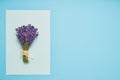 Bunch of fresh lavender on light blue backdrop. Greeting floral card with place for text. Top view, copy space Royalty Free Stock Photo