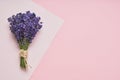 Bunch of fresh lavender on pink background. Greeting floral card with place for text. Top view, copy space Royalty Free Stock Photo