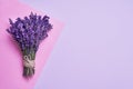 Bunch of fresh lavender on pink background. Violet flowers. Greeting floral card with place for text. Top view, copy space Royalty Free Stock Photo