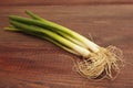 Bunch of fresh leeks on rustic wooden table Royalty Free Stock Photo