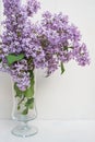 Bunch of fresh lilac flowers in glass vase close up isolated on white background Royalty Free Stock Photo