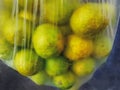 Bunch of Fresh Limes in Clear Plastic Bag Royalty Free Stock Photo