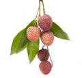 A bunch of fresh lychees on white background Royalty Free Stock Photo