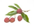 A bunch of fresh lychees on white background Royalty Free Stock Photo