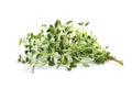 Bunch of fresh marjoram leaves on white background Royalty Free Stock Photo