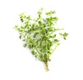 Bunch of fresh marjoram leaves on white background, top view Royalty Free Stock Photo