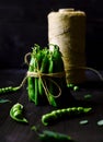 Bunch of fresh mature pods of green peas tied with a rope on black wooden background. Bio healthy food. Green peas, pods.