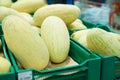 Bunch of fresh melons in supermarket