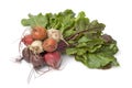 Bunch of fresh mixed color beets Royalty Free Stock Photo