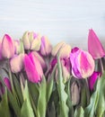 Spring holiday background with fresh tulips