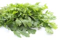 Bunch of fresh and natural parsley isolated on white background Royalty Free Stock Photo