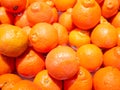 Bunch of fresh oranges mandarins for sale in the market close up top view Royalty Free Stock Photo