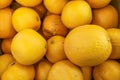 Bunch of fresh oranges on market. Healthy fruits, orange fruits background many orange fruits - orange fruit background in a