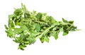 Bunch of fresh Oregano herb isolated on white Royalty Free Stock Photo