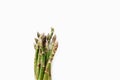 Bunch of fresh organic asparagus from farmers market isolated on a white background