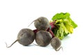 BUNCH OF FRESH ORGANIC BEETROOT ISOLATED ON A WHITE BACKGROUND Royalty Free Stock Photo