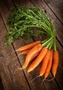 Bunch of fresh organic carrots. Royalty Free Stock Photo