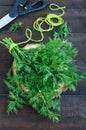 A bunch of fresh organic dill on a dark rustic background, tied with green twine