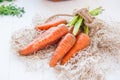 Bunch of Fresh organic dirty carrots from farm market on the white wooden background. Vegetables. Healthy food concept. Vegetarian Royalty Free Stock Photo