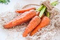 Bunch of Fresh organic dirty carrots from farm market on the white wooden background. Vegetables. Healthy food concept. Vegetarian Royalty Free Stock Photo