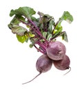 bunch of fresh organic garden beet roots isolated Royalty Free Stock Photo