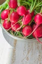 Bunch of Fresh Organic Red Radish with Water Drops in Aluminum Bowl on White Wood Garden Kitchen Table Sunlight