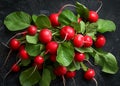 A bunch of fresh red radishes with green leaves on a black background. Royalty Free Stock Photo