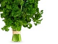 Bunch of fresh parsley Royalty Free Stock Photo