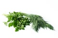 Bunch of fresh parsley and dill with small drops of water Isolated on a white background Royalty Free Stock Photo