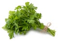 Bunch fresh parsley isolated on white background Royalty Free Stock Photo