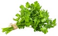 Bunch fresh parsley isolated on white background Royalty Free Stock Photo