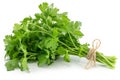 Bunch fresh parsley isolated on white background Royalty Free Stock Photo