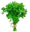 Bunch fresh parsley isolated on white background Royalty Free Stock Photo