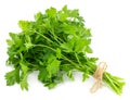 Bunch fresh parsley isolated on white background Royalty Free Stock Photo