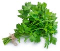 Bunch fresh parsley isolated on white background Royalty Free Stock Photo