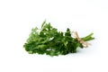 Bunch of fresh parsley isolated on a white background Royalty Free Stock Photo
