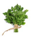 A bunch of fresh parsley isolated on white background. Spice. Co Royalty Free Stock Photo