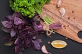 A bunch of fresh parsley and red basil bandaged with a rope with Royalty Free Stock Photo