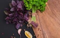 A bunch of fresh parsley and red basil bandaged with a rope with Royalty Free Stock Photo