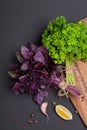 A bunch of fresh parsley and red basil bandaged with a rope with Royalty Free Stock Photo